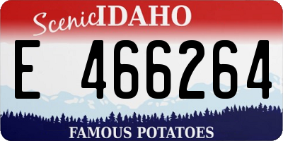 ID license plate E466264