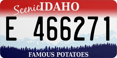 ID license plate E466271