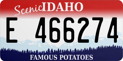 ID license plate E466274