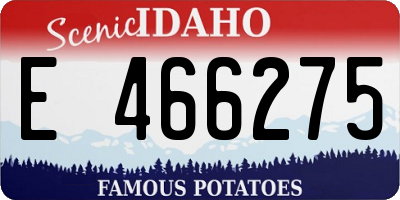 ID license plate E466275