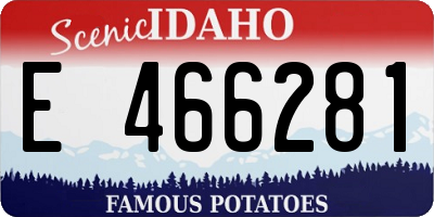 ID license plate E466281