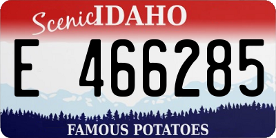 ID license plate E466285