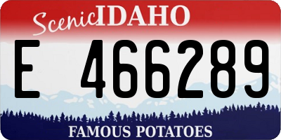 ID license plate E466289