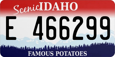 ID license plate E466299