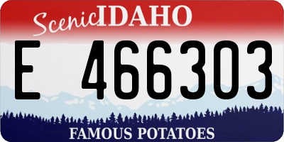 ID license plate E466303