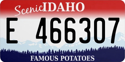 ID license plate E466307