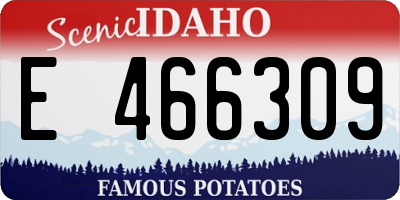 ID license plate E466309
