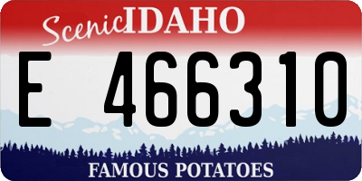 ID license plate E466310