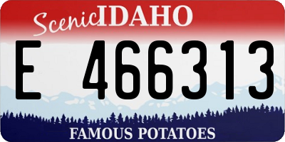 ID license plate E466313