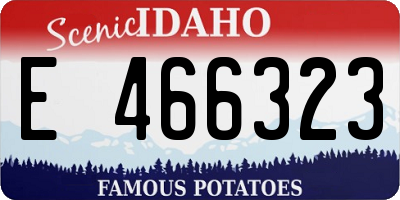 ID license plate E466323