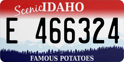ID license plate E466324