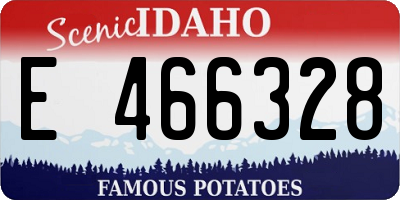 ID license plate E466328