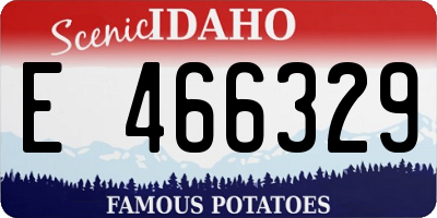 ID license plate E466329