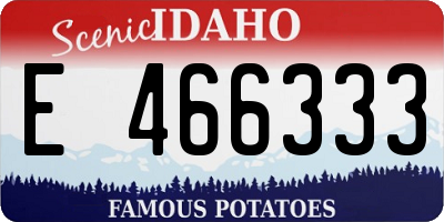 ID license plate E466333