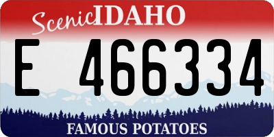 ID license plate E466334