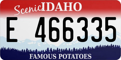 ID license plate E466335