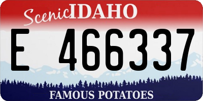 ID license plate E466337