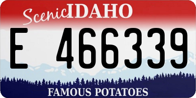 ID license plate E466339