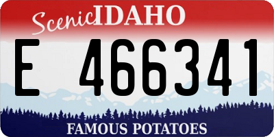 ID license plate E466341