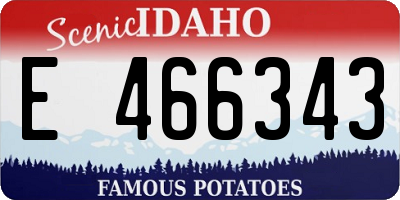ID license plate E466343