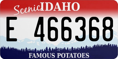 ID license plate E466368
