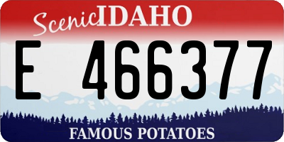 ID license plate E466377