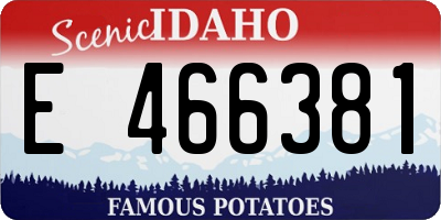 ID license plate E466381