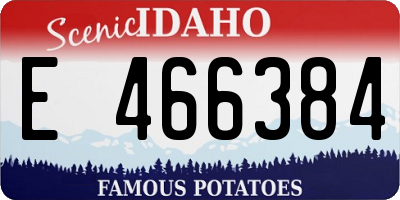 ID license plate E466384