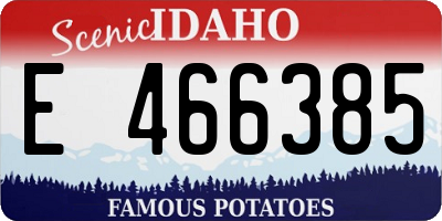 ID license plate E466385