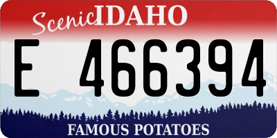 ID license plate E466394
