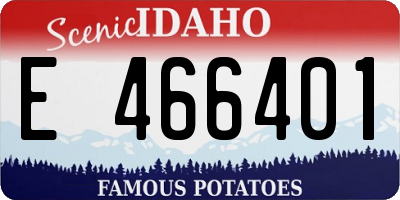 ID license plate E466401