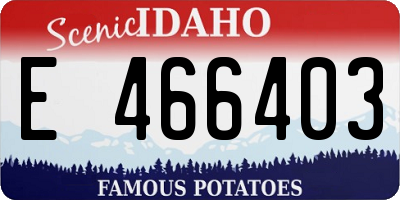 ID license plate E466403