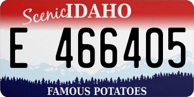 ID license plate E466405
