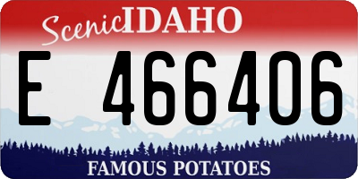 ID license plate E466406