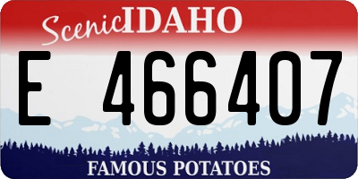 ID license plate E466407