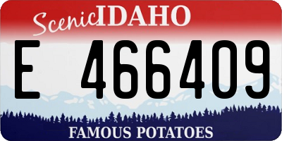 ID license plate E466409