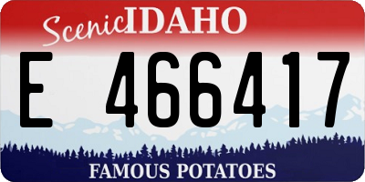 ID license plate E466417
