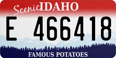 ID license plate E466418