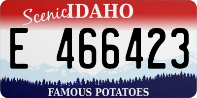ID license plate E466423
