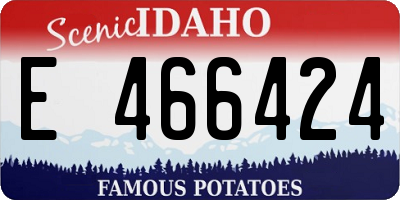 ID license plate E466424