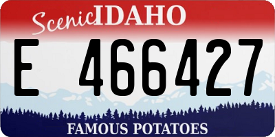 ID license plate E466427