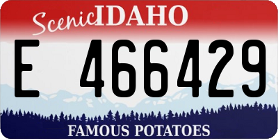 ID license plate E466429