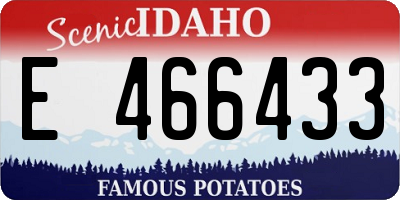 ID license plate E466433