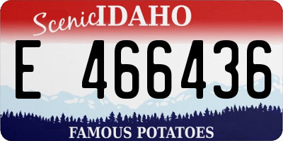 ID license plate E466436