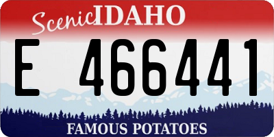 ID license plate E466441