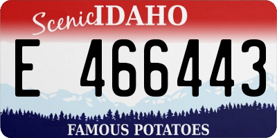 ID license plate E466443