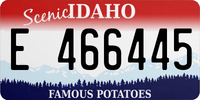 ID license plate E466445