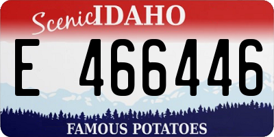 ID license plate E466446