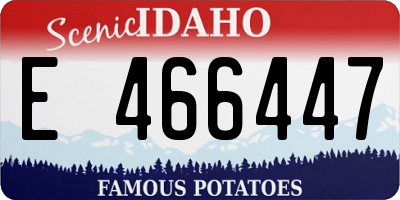 ID license plate E466447
