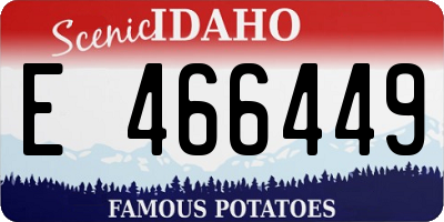 ID license plate E466449